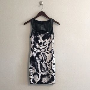 Snow Leopard Dress